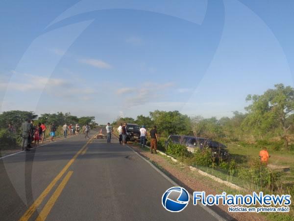 Animais invadem pista e causam acidente na BR-343 em Floriano.(Imagem:FlorianoNews)