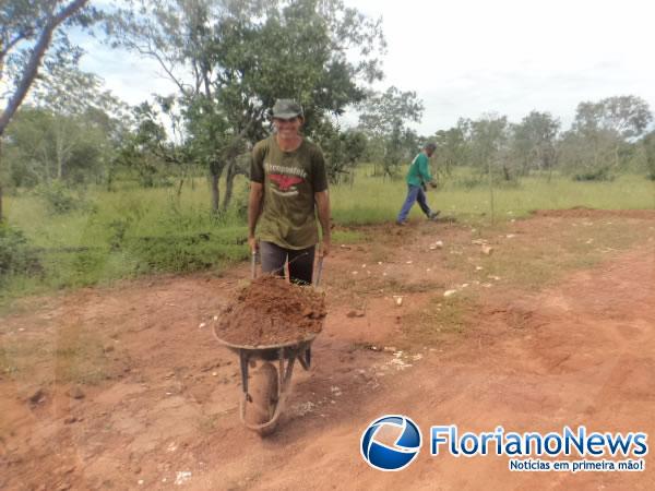 Moradores da localidade Bom Jardim tapam buracos em estrada.(Imagem:FlorianoNews)