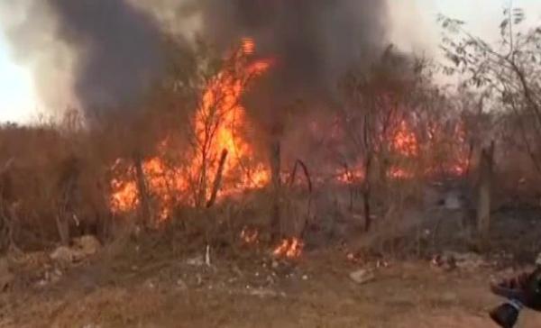 IBAMA vai contratar brigadas para combater incêndios em Floriano e outras cidades do Piauí.(Imagem:Divulgação)