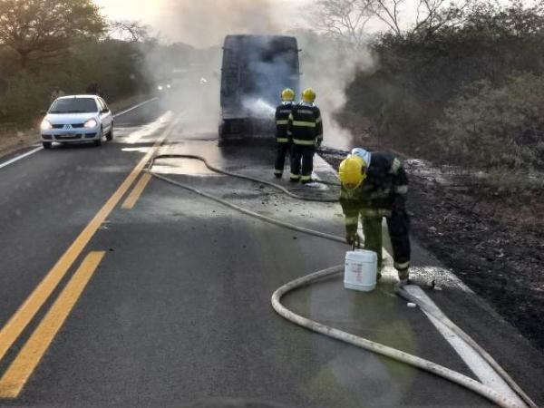Cavalinho de carreta pega fogo na BR-343, entre Floriano e Amarante.(Imagem:Divulgação/Bombeiros)