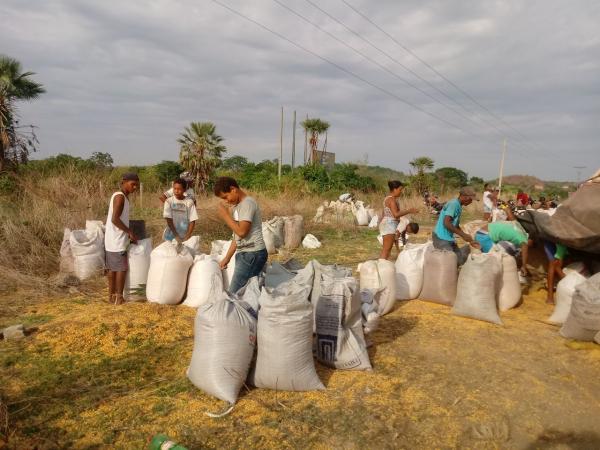 Carreta carregada de milho tomba e carga é saqueada na localidade Paracaty(Imagem:FlorianoNews)