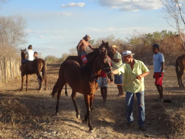 Realizada a 15ª Festa do Vaqueiro no povoado L3. (Imagem:FlorianoNews)