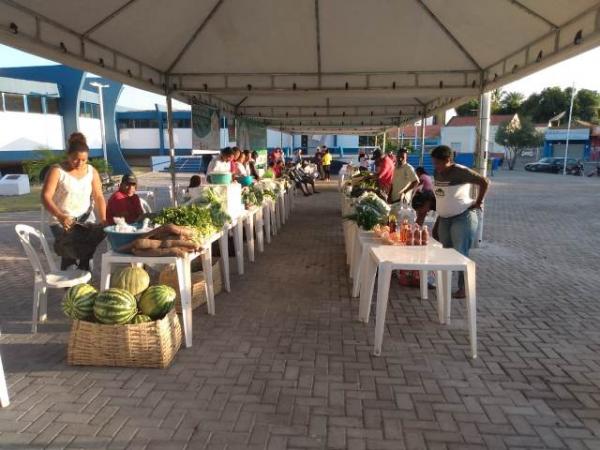 Feira de Agricultura Familiar traz visibilidade a produtos orgânicos de Floriano(Imagem:FlorianoNews)