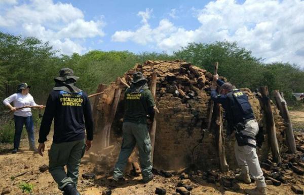 PRF e Semar destroem carvoarias no PI e realizam várias apreensões.(Imagem:PRF)