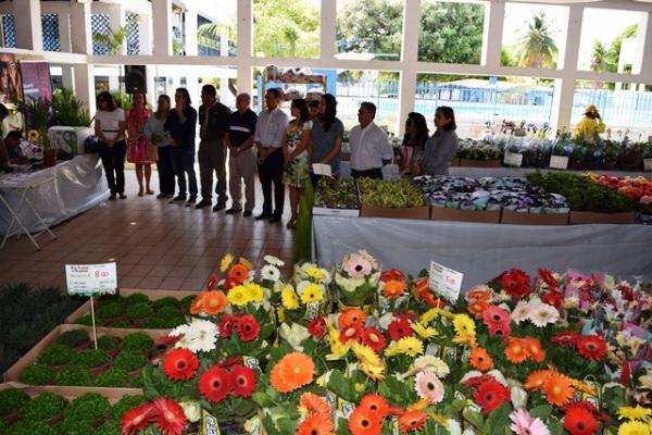 Aberto em Floriano o 1º Festival das Flores de Holambra.(Imagem:Waldemir Miranda)