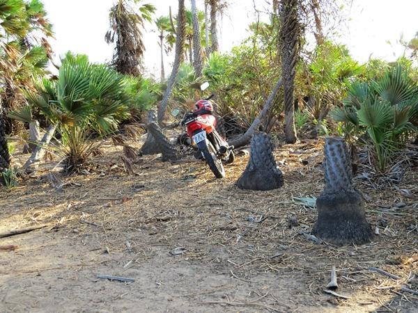 Moto estava ao lado do corpo.(Imagem:Pro Parnaíba )