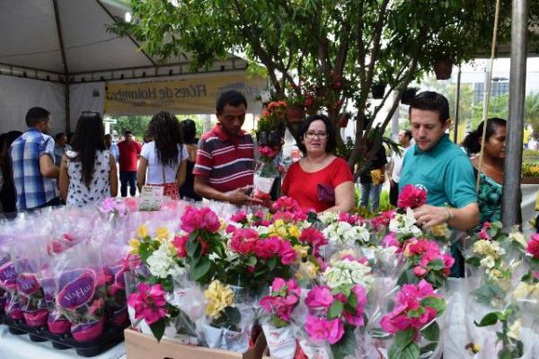 II Festival de Flores de Holambra é realizado em Floriano.(Imagem:Waldemir Miranda)