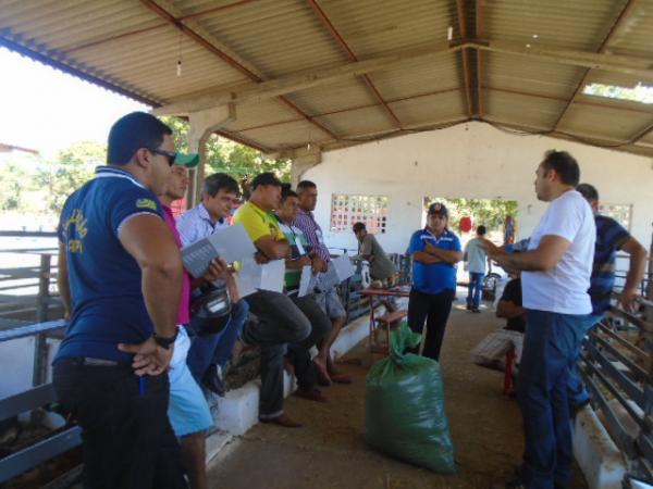 SEBRAE oferece curso sobre alimentação animal para produtores de Floriano.(Imagem:FlorianoNews)