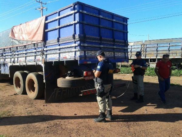 PRF flagra transporte ilegal de madeira em Picos.(Imagem:PRF)