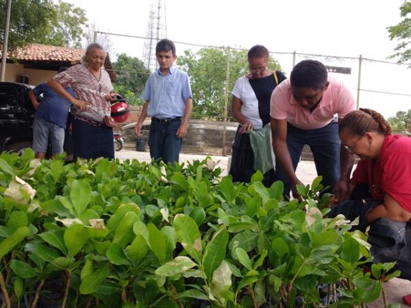 SDR faz distribuição de mudas e sementes para agricultores familiares de Floriano.(Imagem:FlorianoNews)