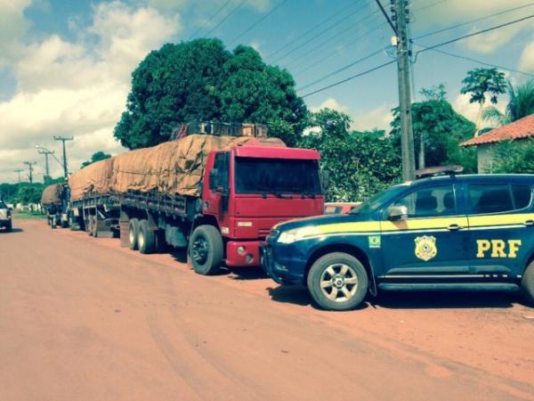 PRF apreende cargas de madeira e gado sem nota fiscal.(Imagem:PRF)