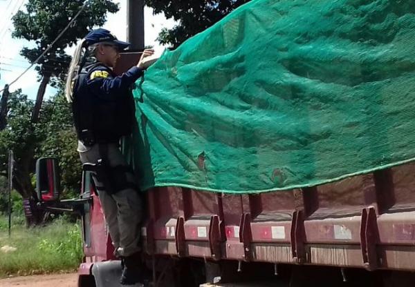 Polícia Rodoviária Federal realizou prisões e apreensões em Teresina(Imagem:PRF)