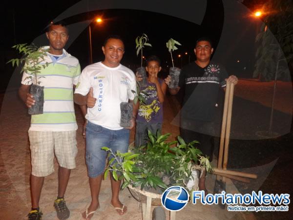 Moradores realizaram plantio de árvores no Conjunto Filadelfo Freire de Castro.(Imagem:FlorianoNews)