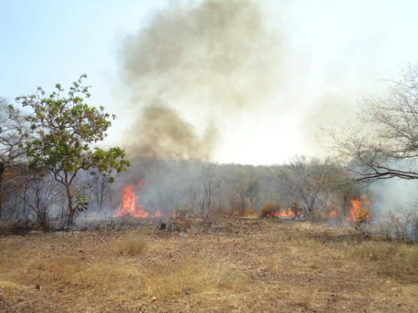 Incêndio deixa Floriano coberta por nuvem de fumaça.(Imagem:FlorianoNews)