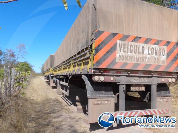 Carreta foi tomada de assalto e teve 36 pneus roubados na localidade Salobro.(Imagem:FlorianoNews)