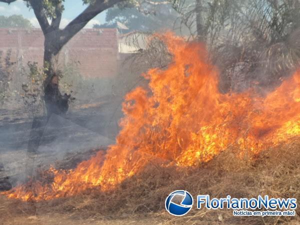 Corpo de Bombeiros registrou dois incêndios em terrenos baldios na tarde desta quinta em Floriano.(Imagem:FlorianoNews)
