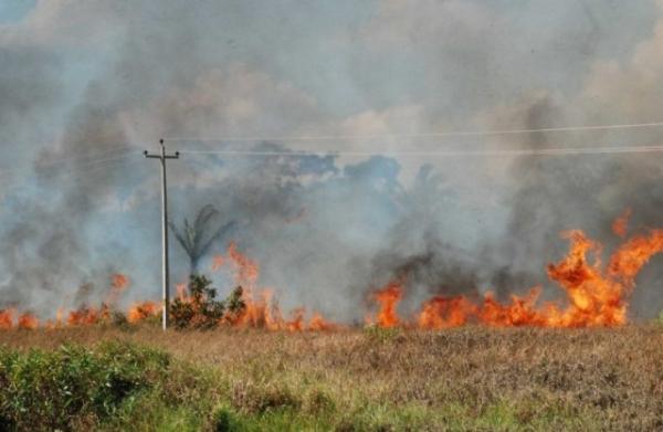 Queimadas aumentam no B-R-Ó-BRÓ e prejudicam o fornecimento de energia elétrica.(Imagem:Equatorial Piauí)