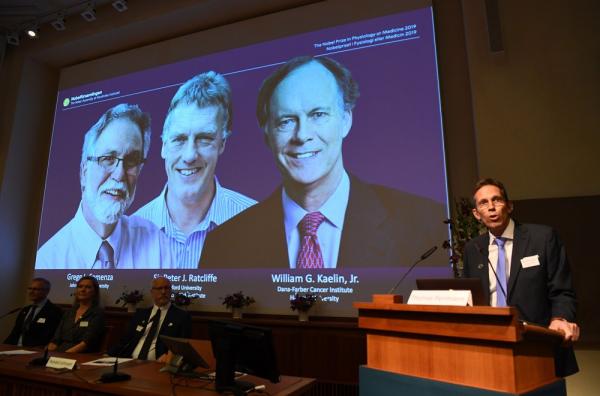 William Kaelin e Gregg Semenza, dos EUA, e Peter Ratcliffe, do Reino Unido, ganham o Prêmio Nobel de Medicina.(Imagem:Jonathan Nackstrand / AFP)