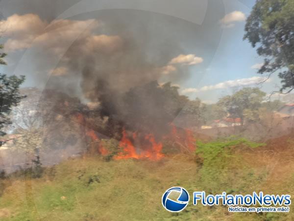 Corpo de Bombeiros registrou dois incêndios em terrenos baldios na tarde desta quinta em Floriano.(Imagem:FlorianoNews)