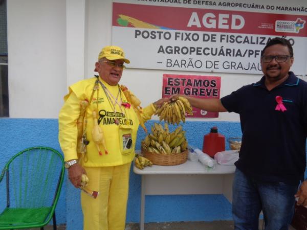 Servidores realizam ato e distribuem bananas em frente à AGED de Barão de Grajaú.(Imagem:FlorianoNews)