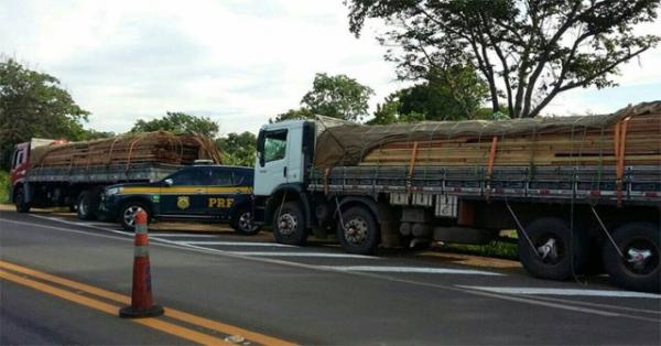 Caminhão é apreendido no Piauí com mais de 30 toneladas de madeira ilegal.(Imagem:PRF)