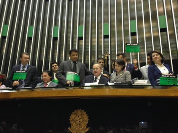 Mesa do Congresso Nacional durante votação dos vetos à Lei dos Royalties.(Imagem:Fabiano Costa/G1)