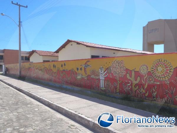 Projeto Mural da Passagem (Imagem:FlorianoNews)