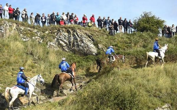 Cavalos sobem percurso com obstáculos naturais no enduro dos Jogos Mundiais.(Imagem:Reprodução/Twitter)