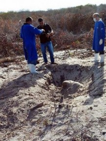 Corpo estava enterrado com mãos amarradas.(Imagem:kairo Amaral/PortalCostaNorte)