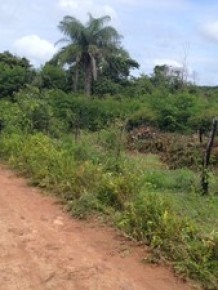 Antes de ser morto, policial estava limpando terreno que comprou na Zona Rural de Teresina.(Imagem:Gil Oliveira/ G1 PI)