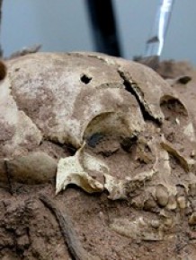 Detalhe do crânio da criança enterrada há cerca de 3.500 anos.(Imagem:Pedro Santiago/G1)
