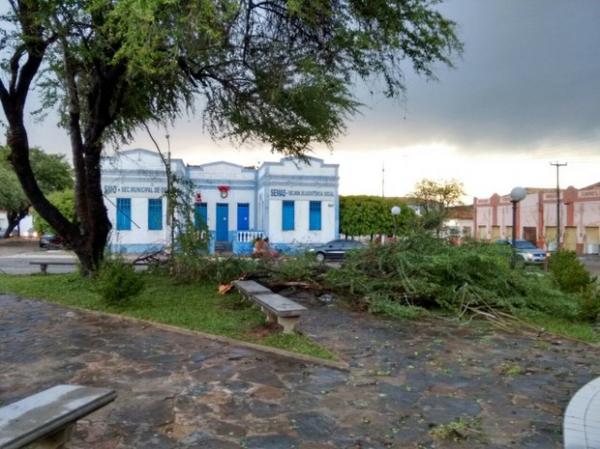 Forte vendo causou a queda de várias árvores em Oeiras.(Imagem:Otávio Barros)