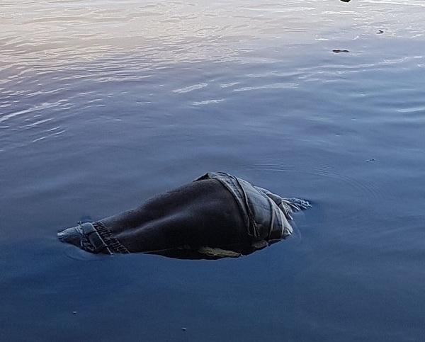 Pescador encontra corpo de homem desaparecido em Floriano.(Imagem:Jc24horas)