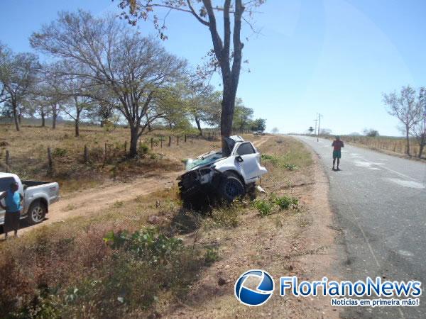 Motorista morre após bater carro em árvore na BR-135, em Bom Jesus.(Imagem:FlorianoNews)