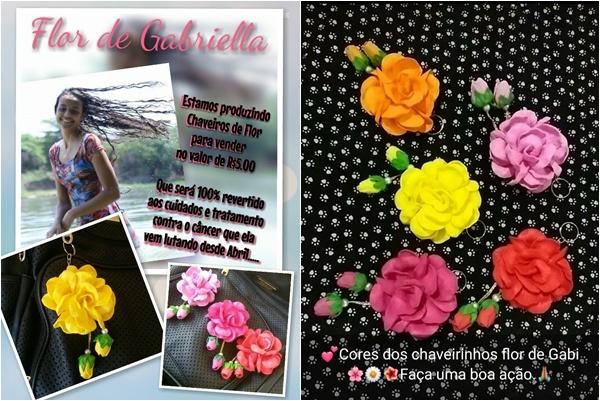 Campanha Flor de Gabriella arrecada verba para tratamento de jovem com câncer em Floriano (Imagem:Reprodução)