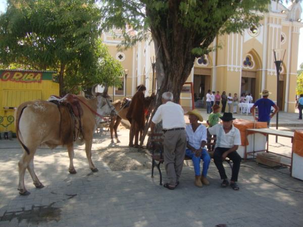 Até um boi participou da Cavalgada(Imagem:redação)