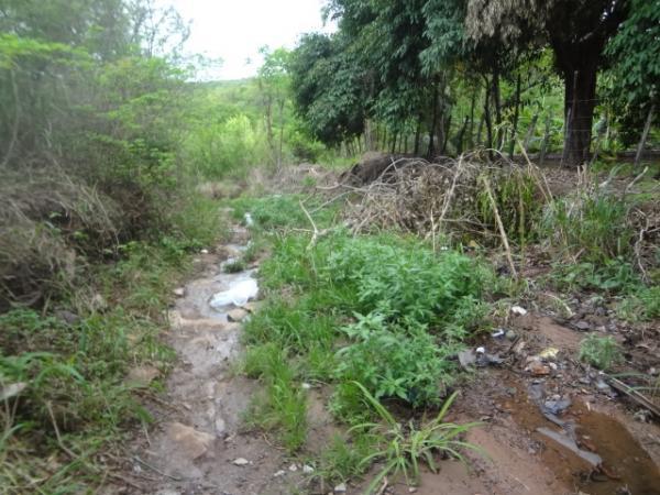 Bairro Canoas(Imagem:FlorianoNews)