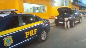 Condutor é preso por uso de documento falso e receptação(Imagem:Divulgação/PRF)
