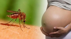 Exames de Zika serão obrigatórios para planos de saúde a partir desta semana.(Imagem:Divulgação)