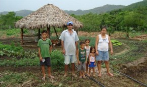 Governo discute demandas da agricultura familiar na segunda (04)(Imagem:Divulgação)