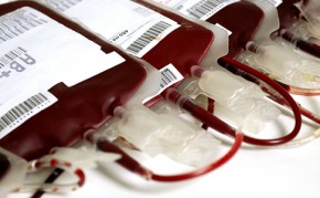 Doe sangue, doe vida..(Imagem:Divulgação)