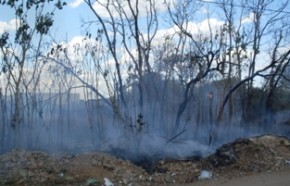 Terreno queimado(Imagem:Fotografo amador)