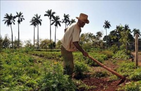 Nova lei da regularização fundiária ajuda a livrar o produtor do Piauí dos juros altos.(Imagem:Divulgação)