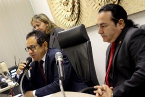 Audiência na Alepi discute sistema de adoção de crianças.(Imagem:Alepi)