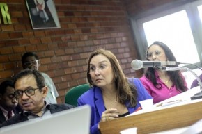 Audiência pública irá discutir a dívida do Piauí.(Imagem:Alepi)
