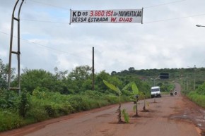 Pés de banana são plantados em buracos de rodovia no Piauí.(Imagem:Divulgação)