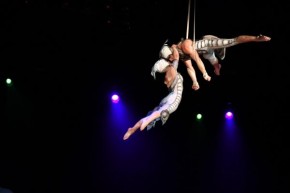 Cirque du Soleil Entertainment Group(Imagem:Divulgação)