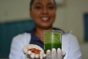 Estudantes desenvolveram um extrato aquoso de Nim(Imagem:Divulgação)