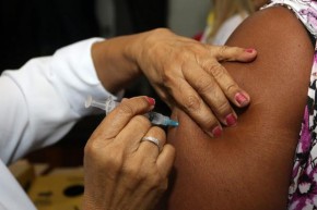 Campanha de vacinação contra gripe sse encerra nesta sexta-feira.(Imagem:Divulgação)