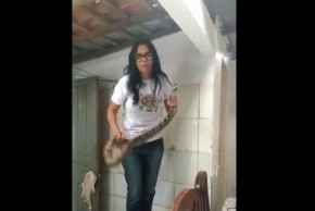 Cobra Jiboia é retirada do telhado de casa no bairro Mocambinho.(Imagem:Portalr10)